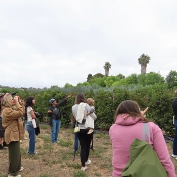 Birding Tour 1