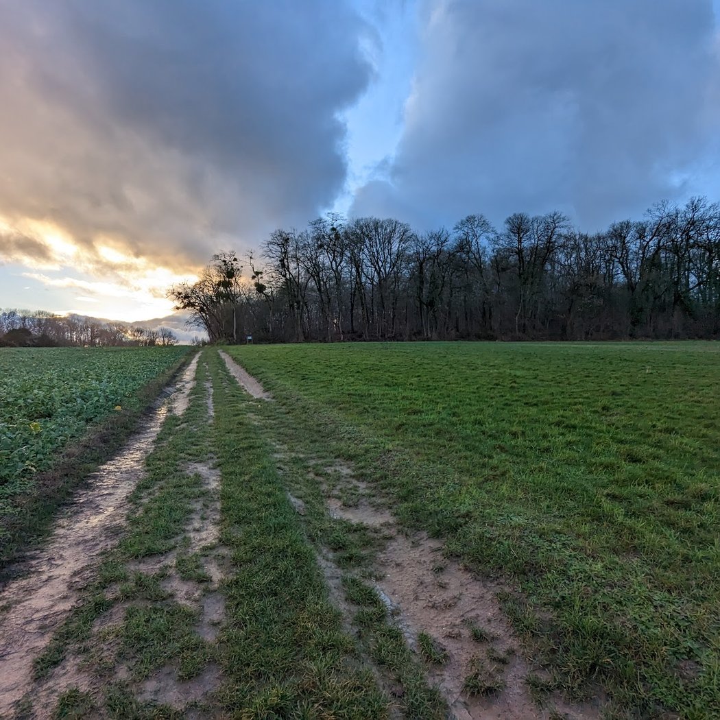 Chemin des touplines 2