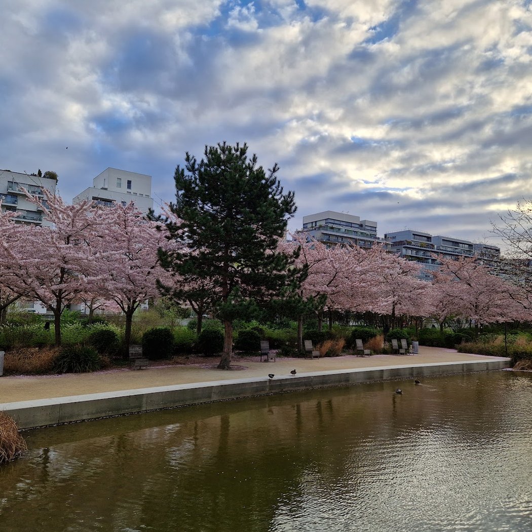 Billancourt Park 1