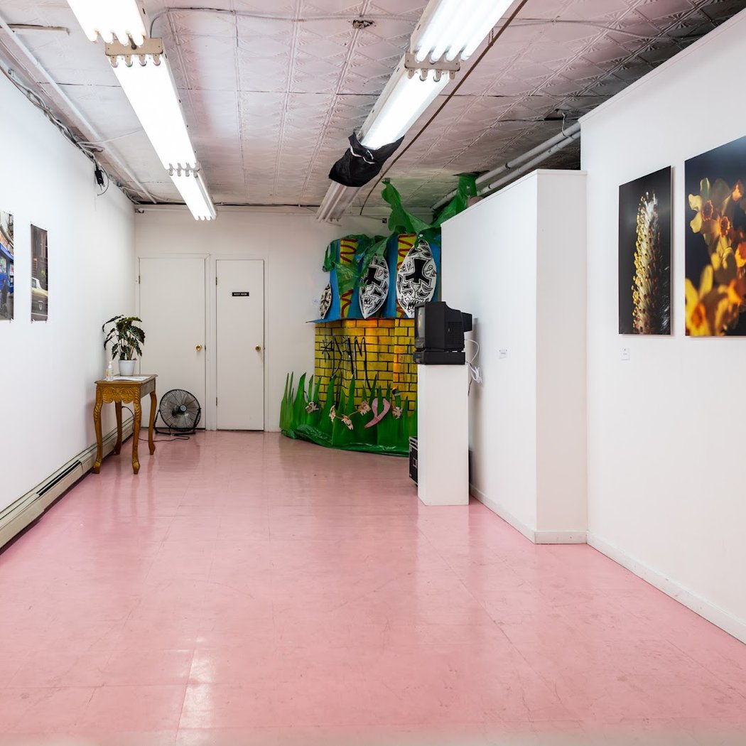 Pari Passu Gallery 3