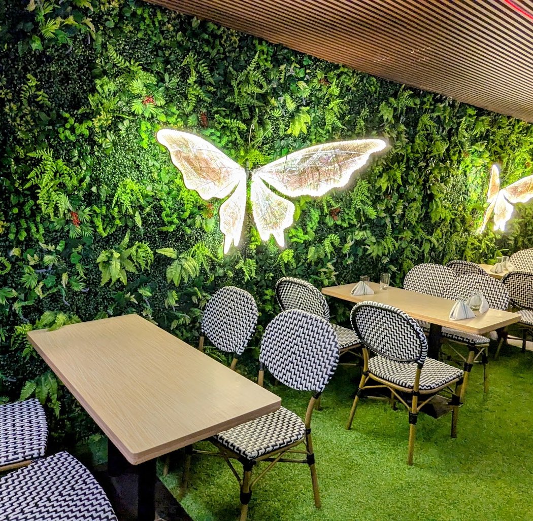 Mariposas 1