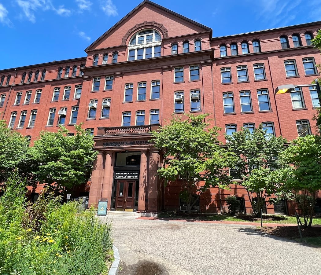The Harvard Museum of Natural History 2