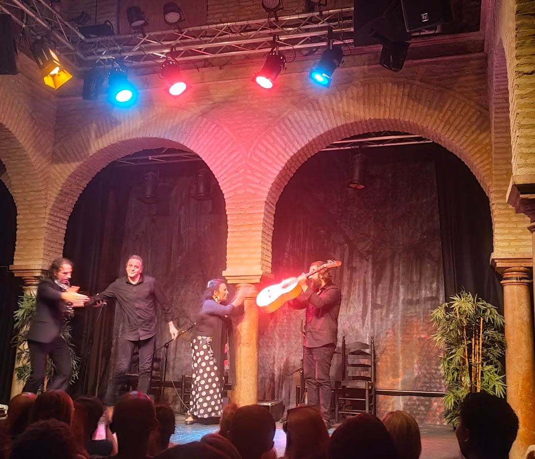 Entradas para el Museo del Baile Flamenco 1