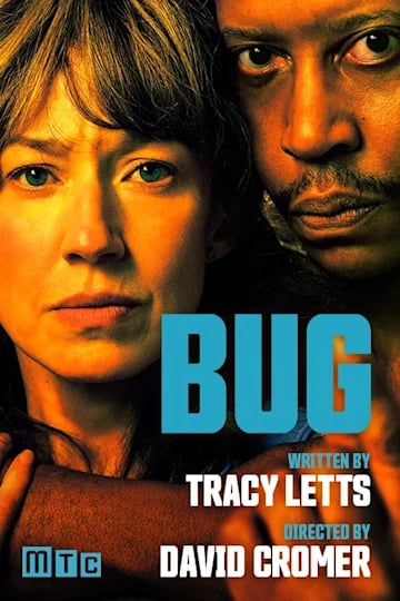 Bug 1