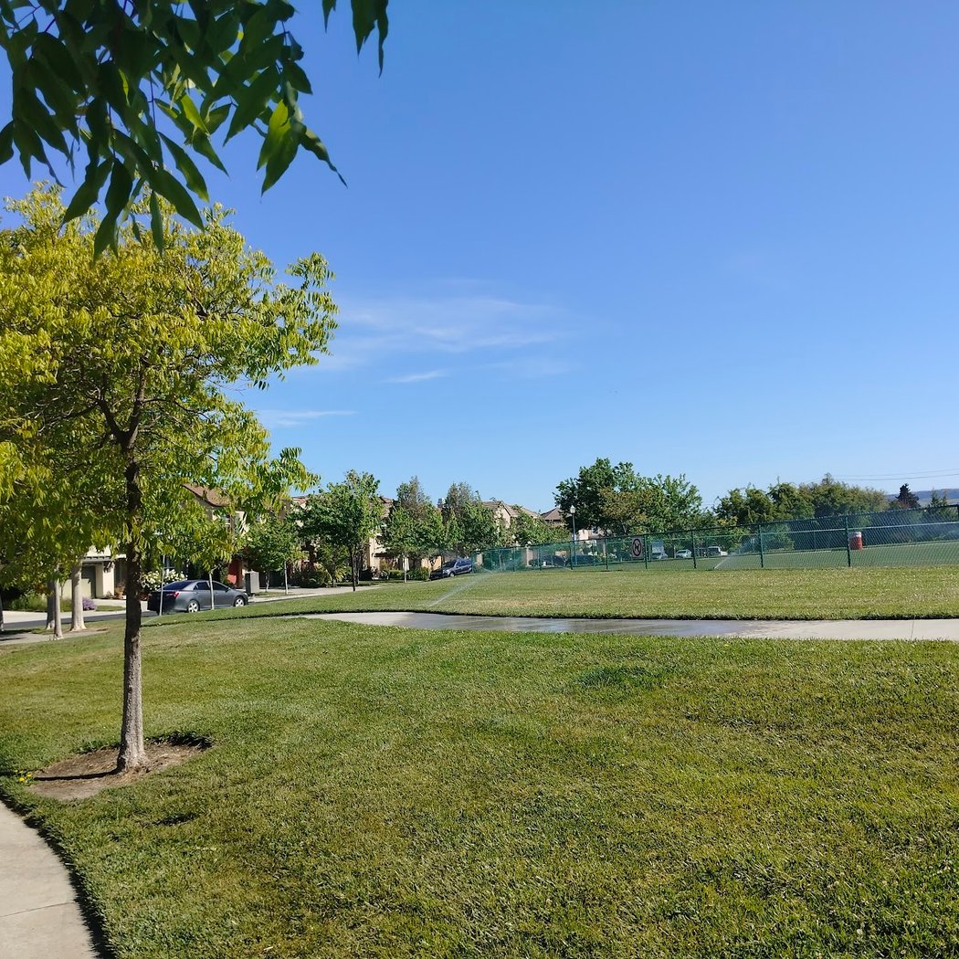 Accinelli Park 3