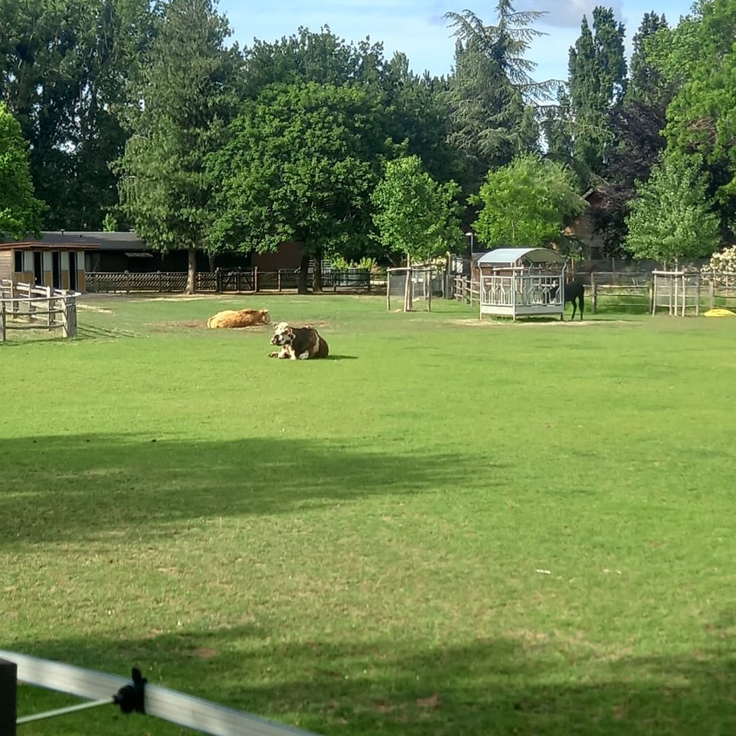Parc du Croissant Vert 2