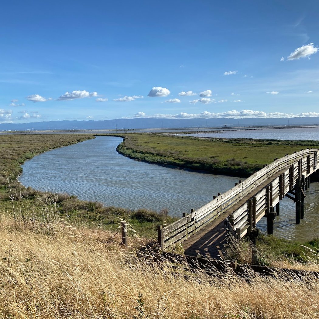 Salt Marsh Walk 2