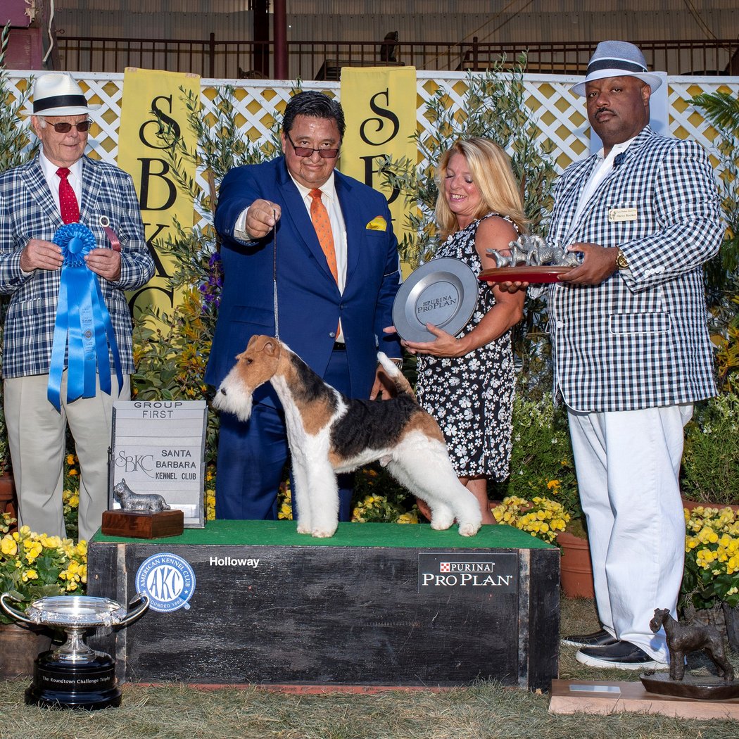 Santa Barbara Kennel Club Show 1