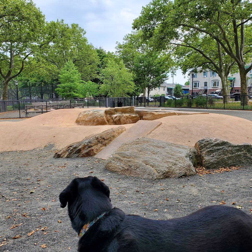 St. Mary's Dog Run 3