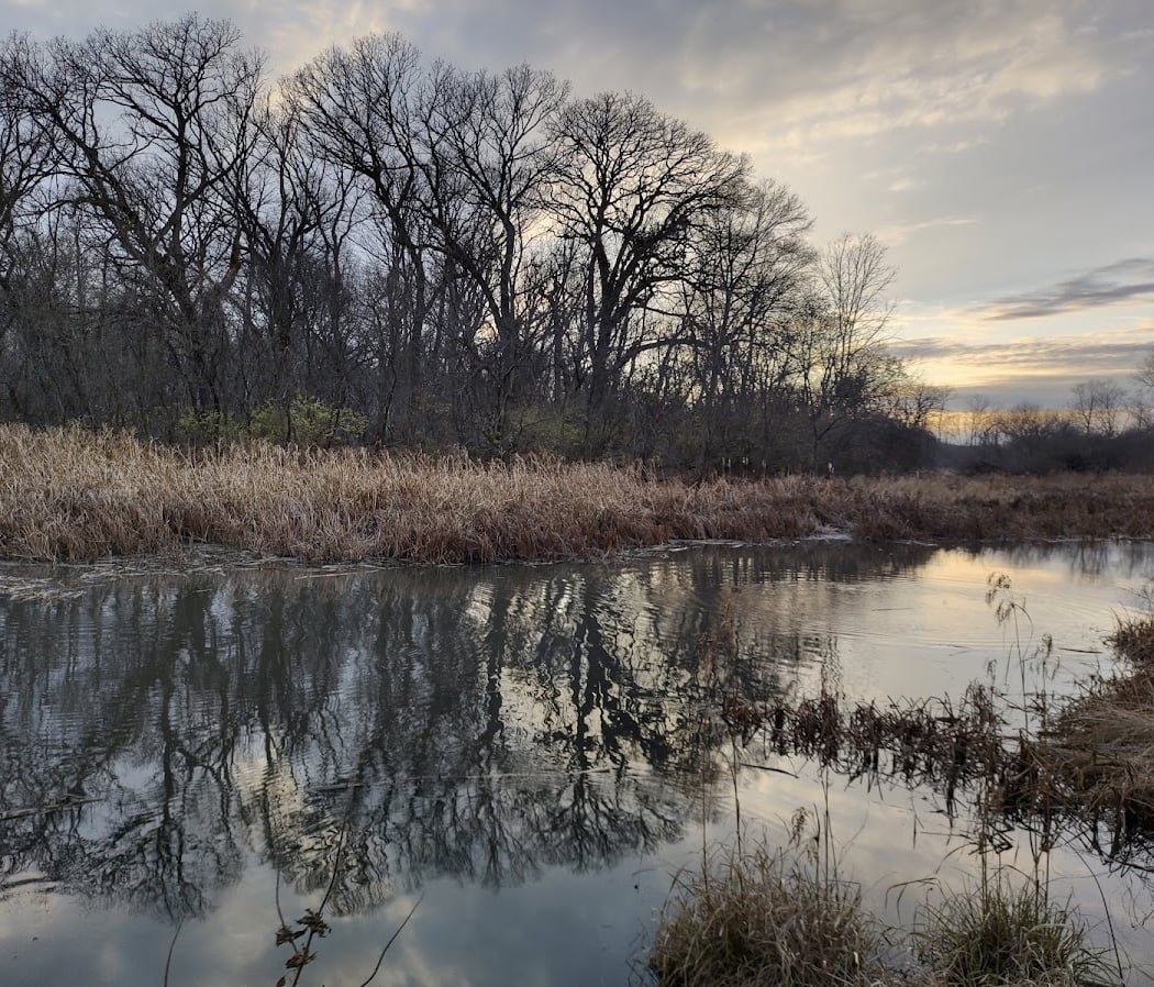 Volunteer Restoration Workdays 3
