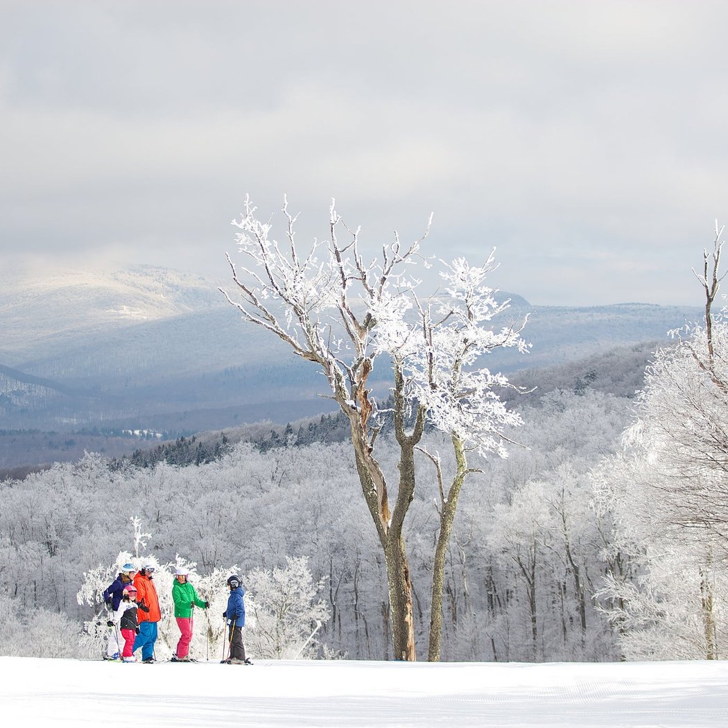 Bromley Mountain 1