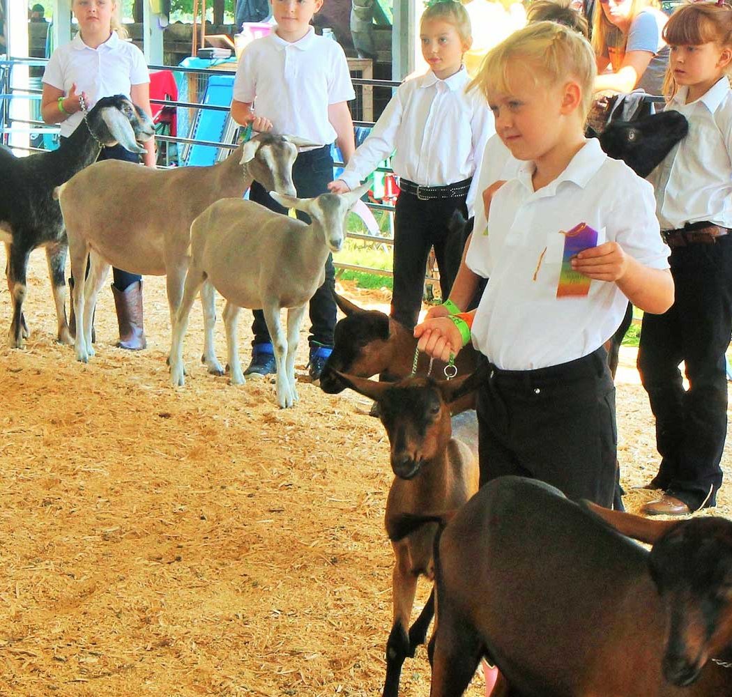180th Dutchess County Fair 2