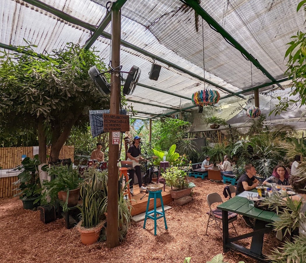 Caoba Farms Farmers Market & Live Music 1