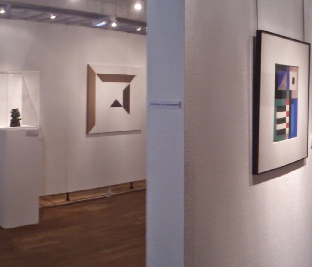 Musée Tavet-Delacour 1