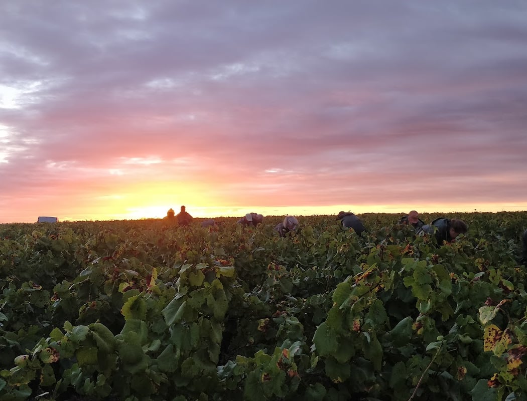 Domaine Haute Févrie 2