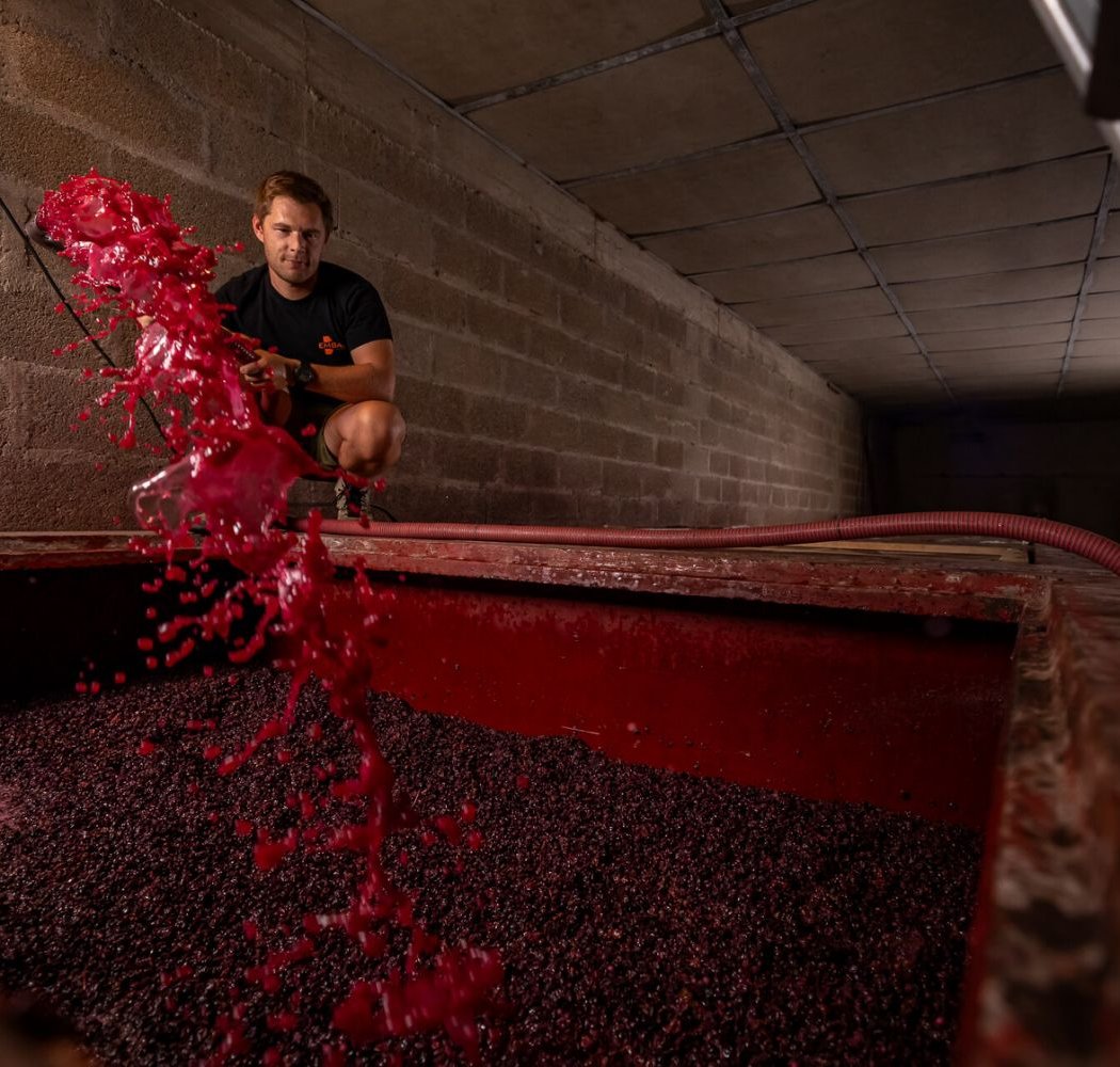 Domaine Louis Lequin & Fils 3