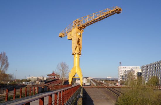 Grue Titan Jaune 2