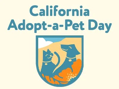 Joybound People & Pets 3
