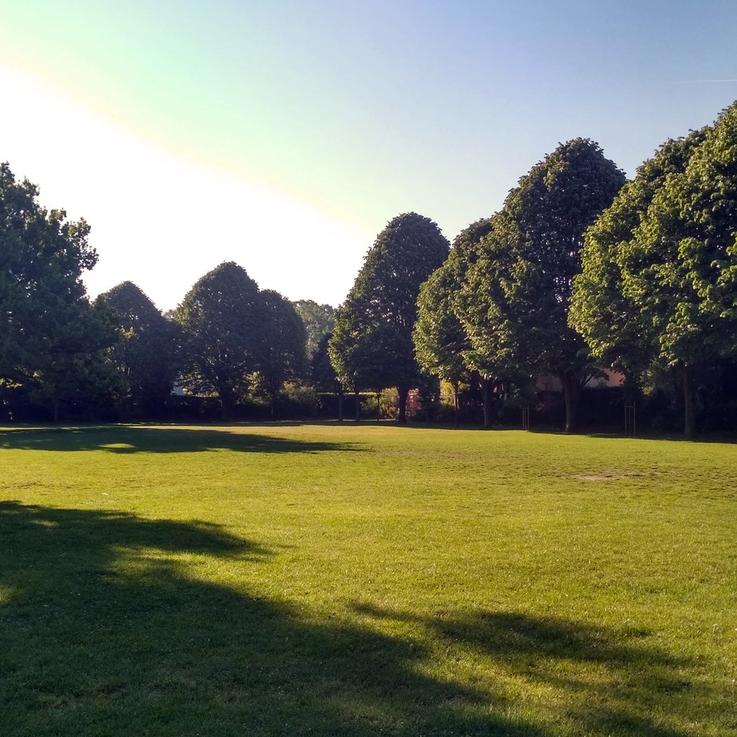Jardin de la Ménagerie 1