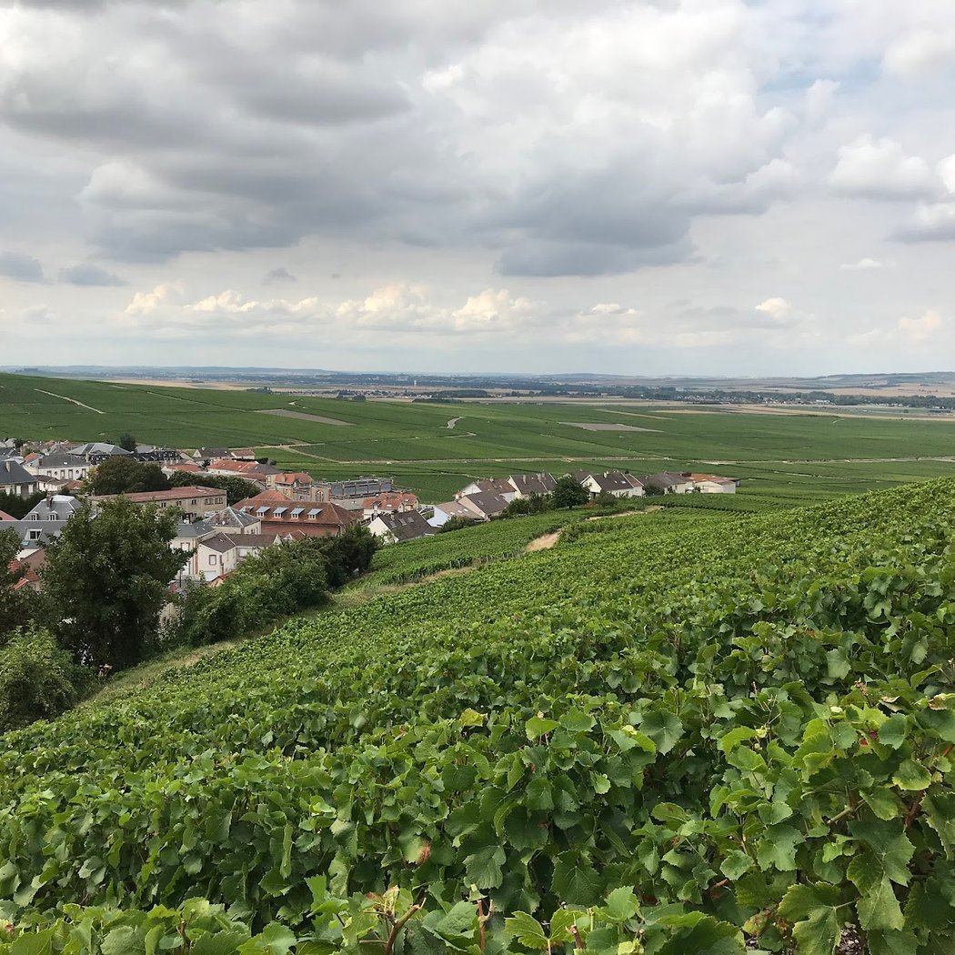 Montagne de Reims 2