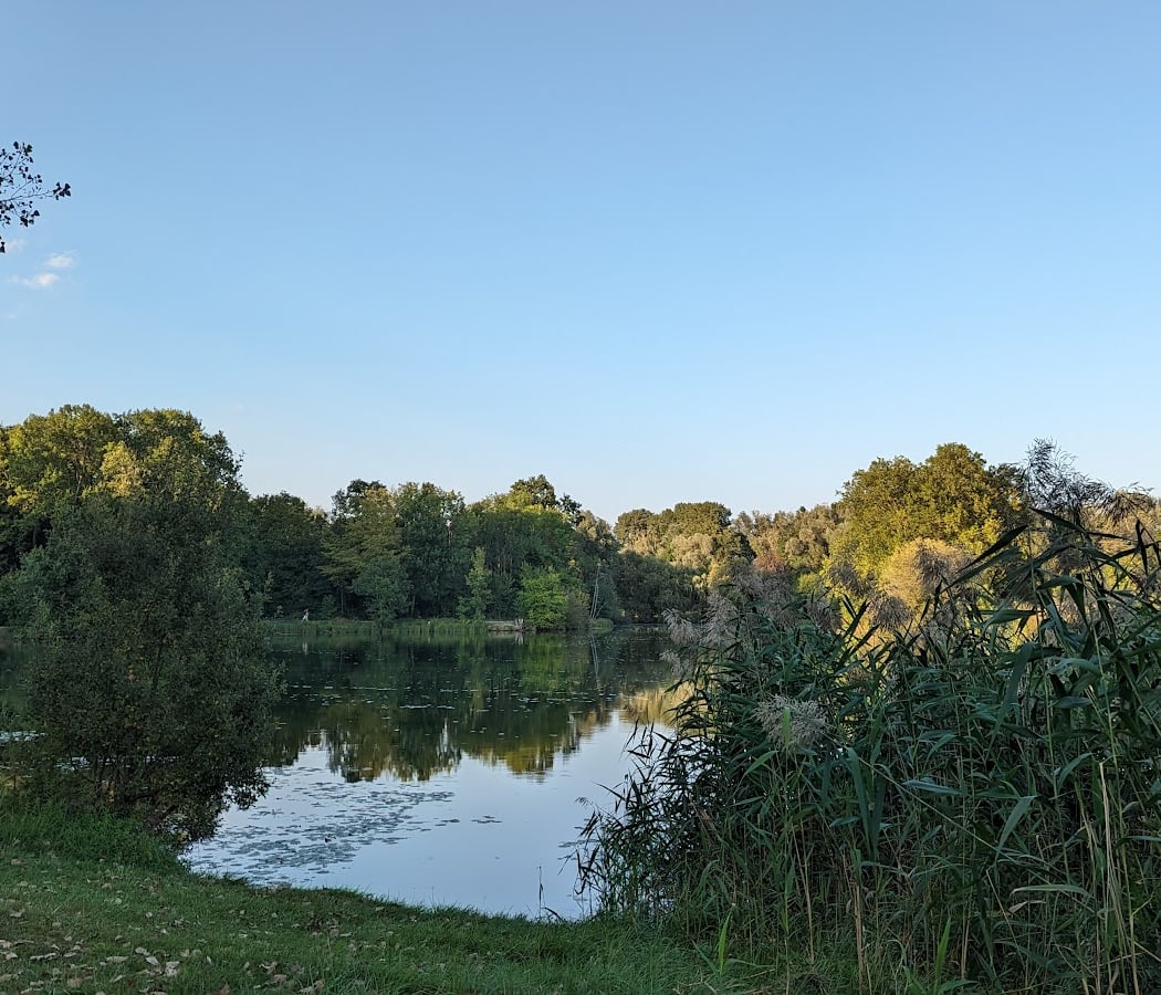 Bassin de Longpont 2