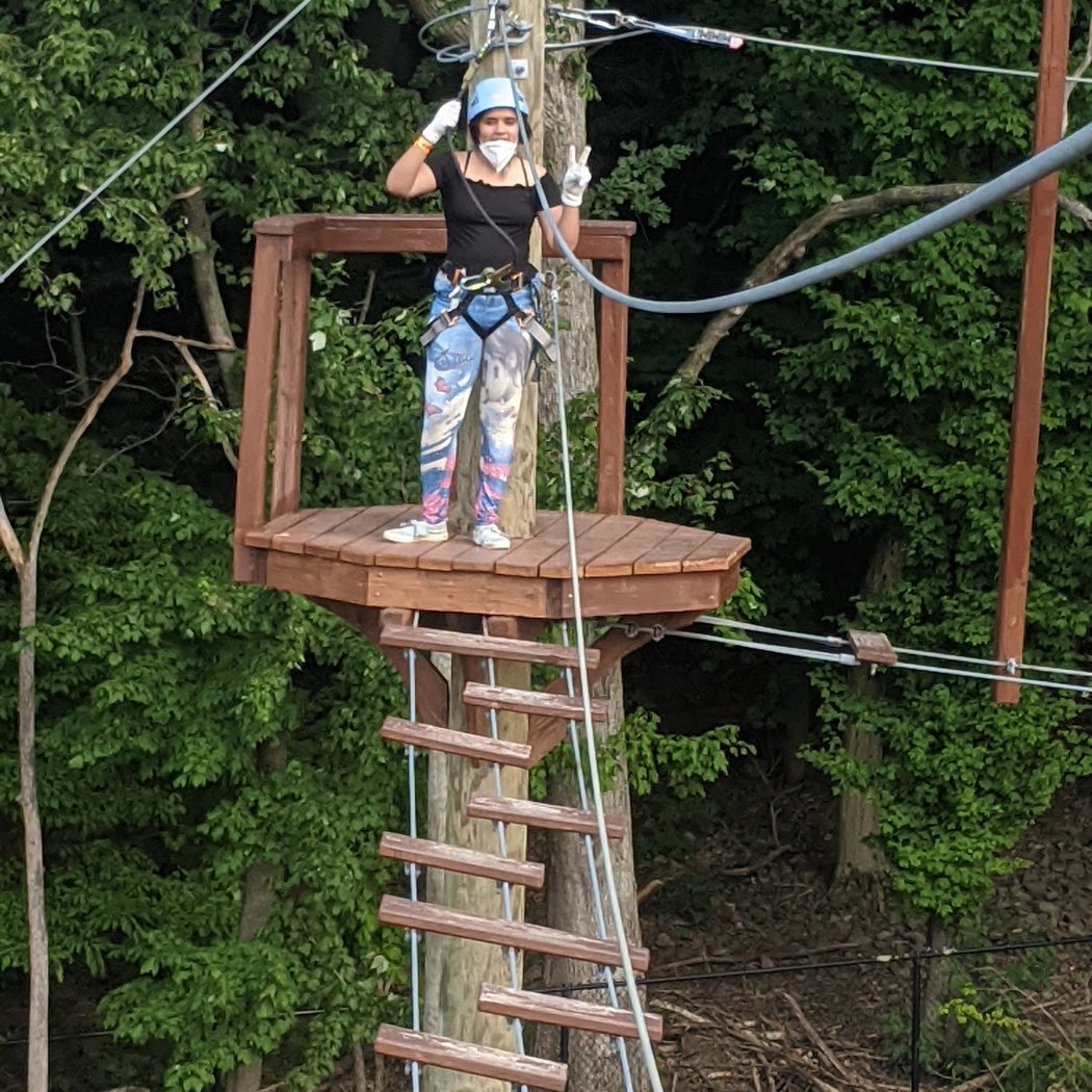 Treetop Adventure Course 2