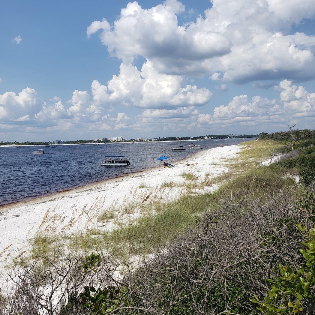Shell Island 2