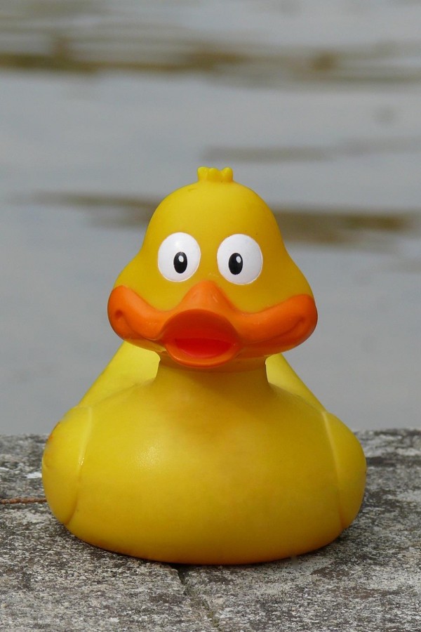 À la recherche des canards perdus : Cartographie 1 1