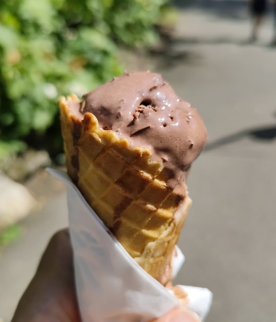 Les Glaces de l’Orangerie 1