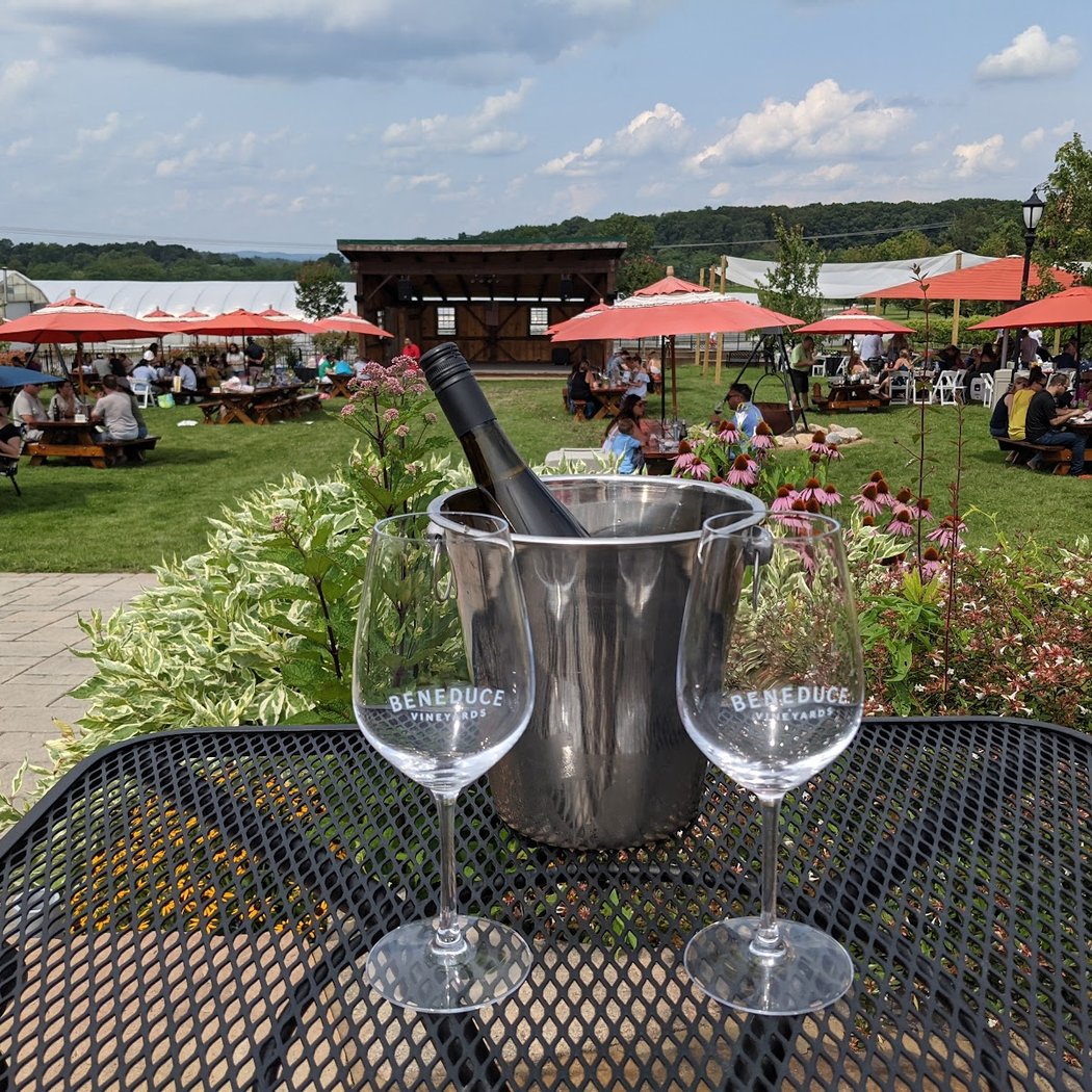Beneduce Vineyards 1