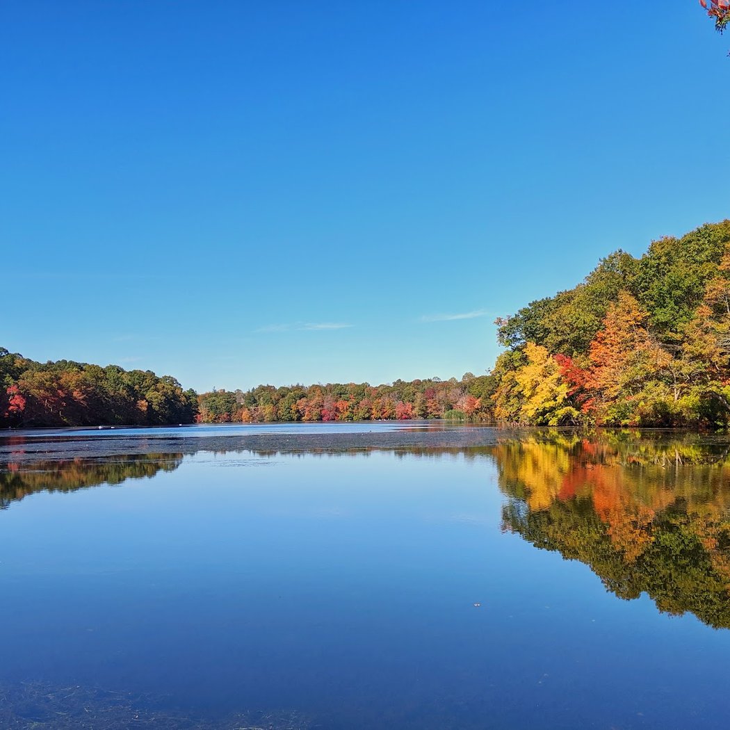 Blydenburgh County Park 1