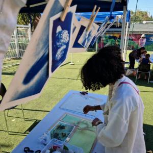 Atelier d'initiation au cyanotype 3