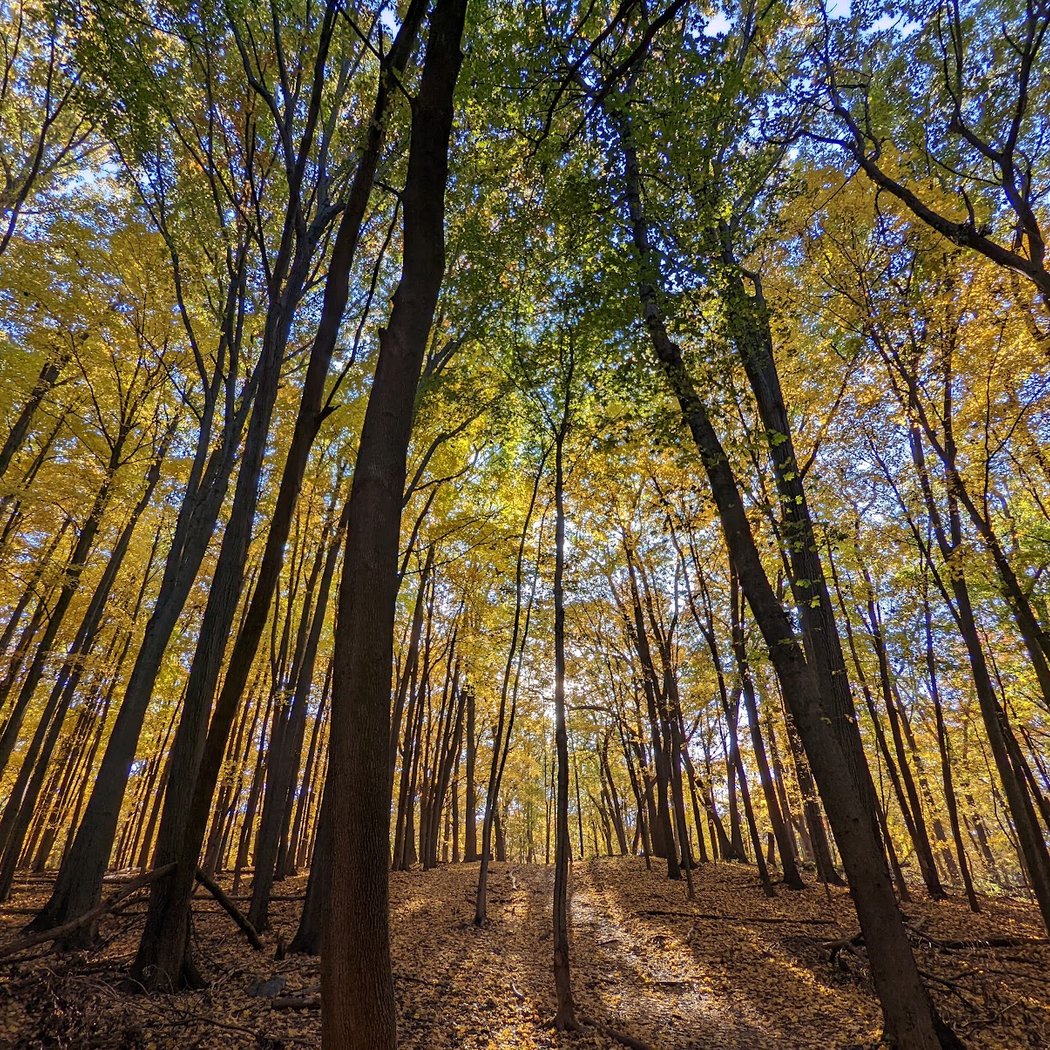 Bird Hills Nature Area 1