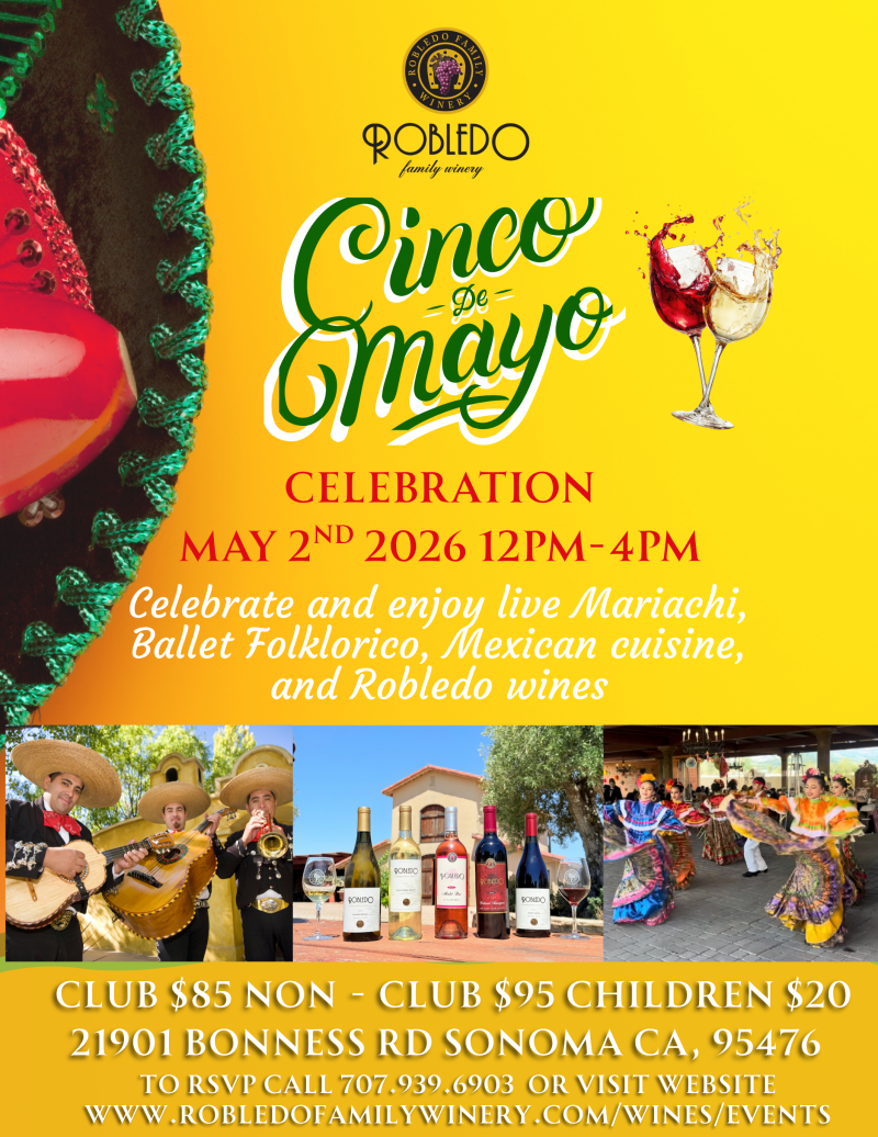 Cinco De Mayo Celebration 1