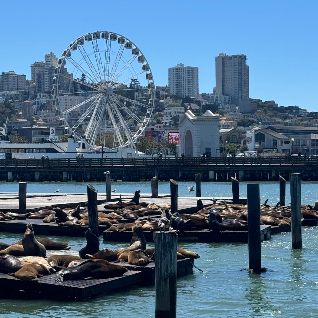 San Francisco Private Tours 2