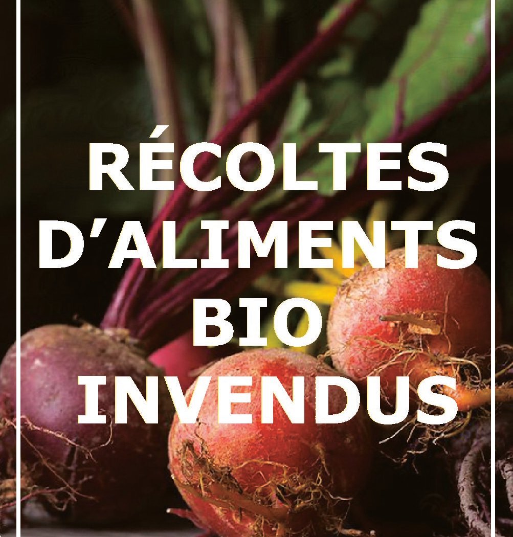 Récoltes invendus alimentaires bio - Les Eco-Charlie & DOC 1