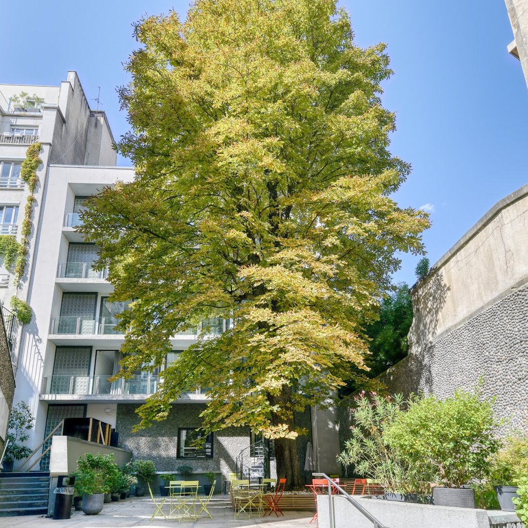 Goethe-Institute Paris 1