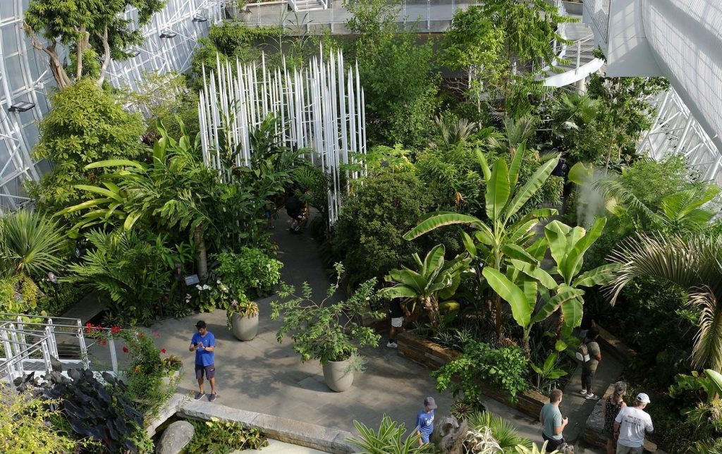 Myriad Botanical Gardens 3
