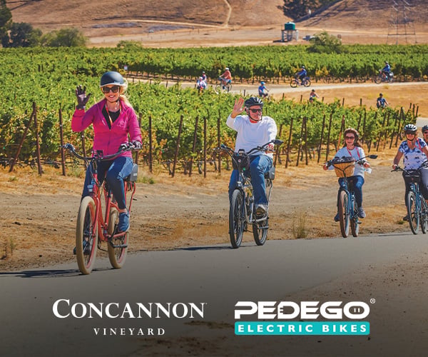 Estate Blocks E-Bike Tour
