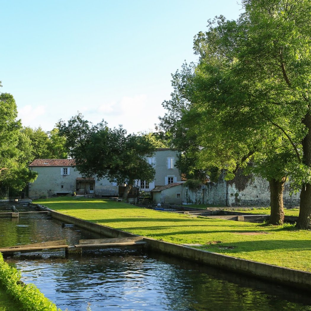 Pisciculture Du Moulin 2