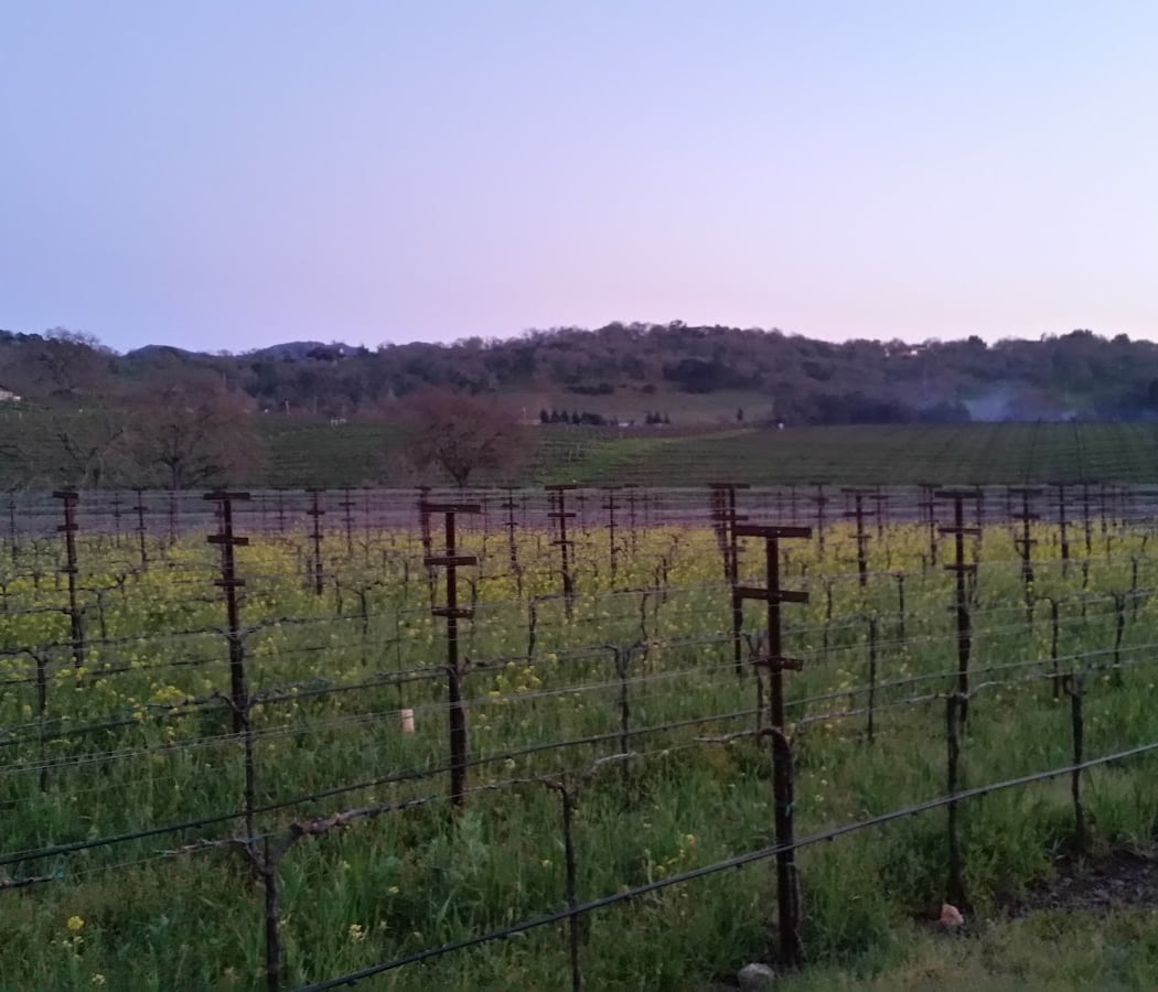 Arrow&Branch Winery 2