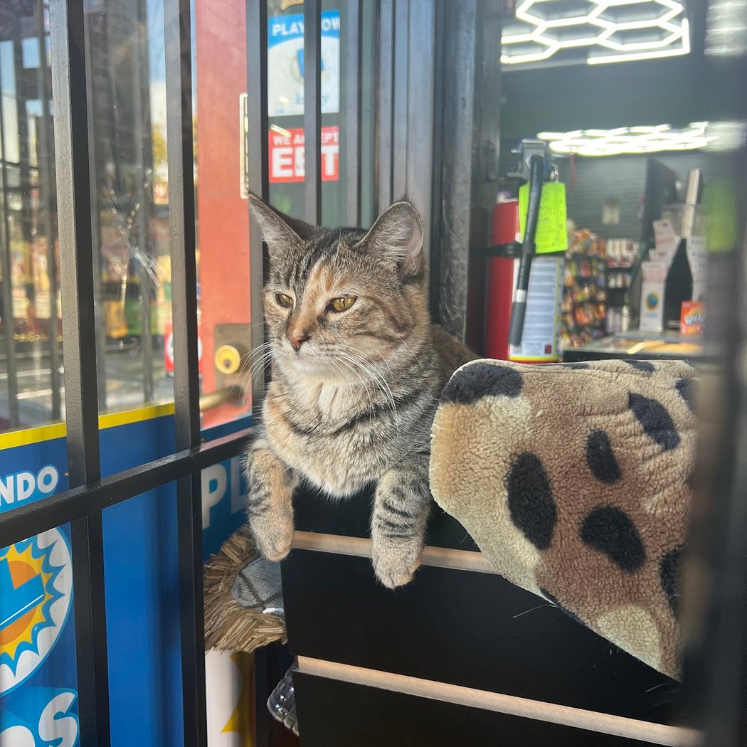 Stop and save market 2