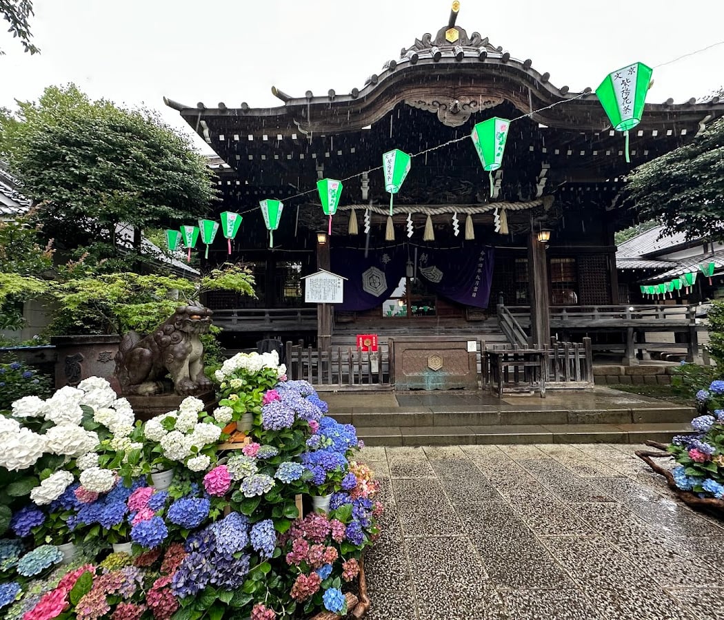 Bunkyo Hydrangea Festival 1