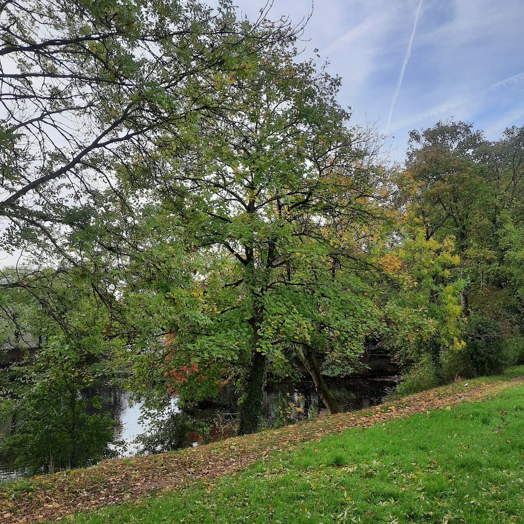 Promenade de la Dhuis 4