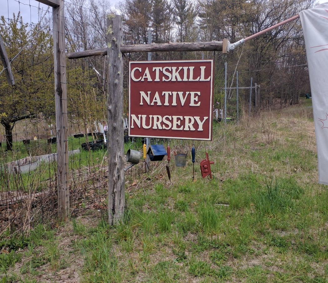 Catskill Native Nursery 2