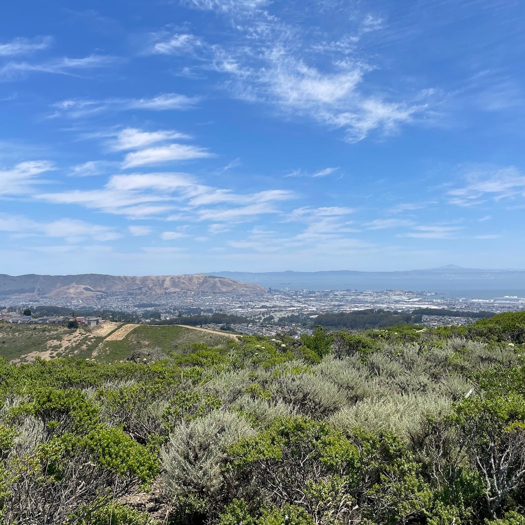 Sweeney Ridge Trail 2