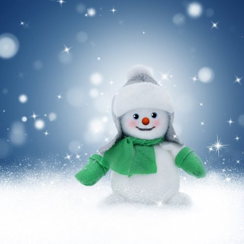 Little Wonders: Winter Fun 1