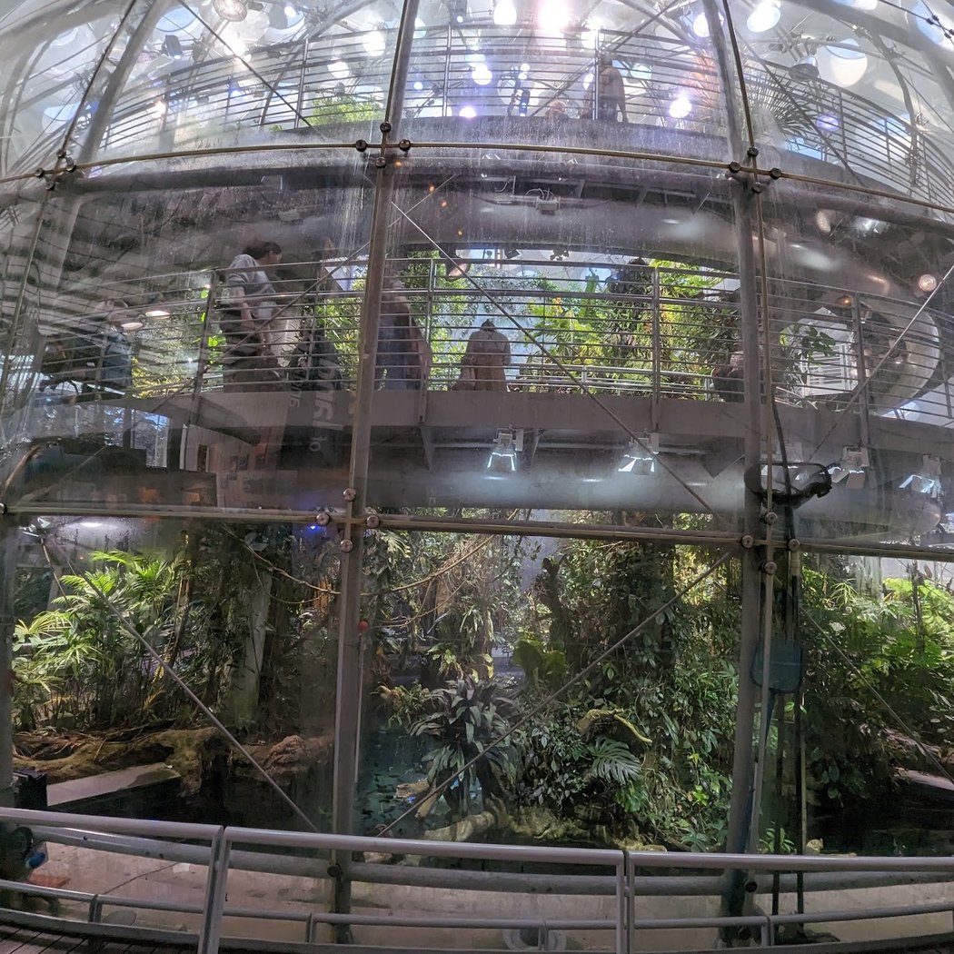 Living Roof 2