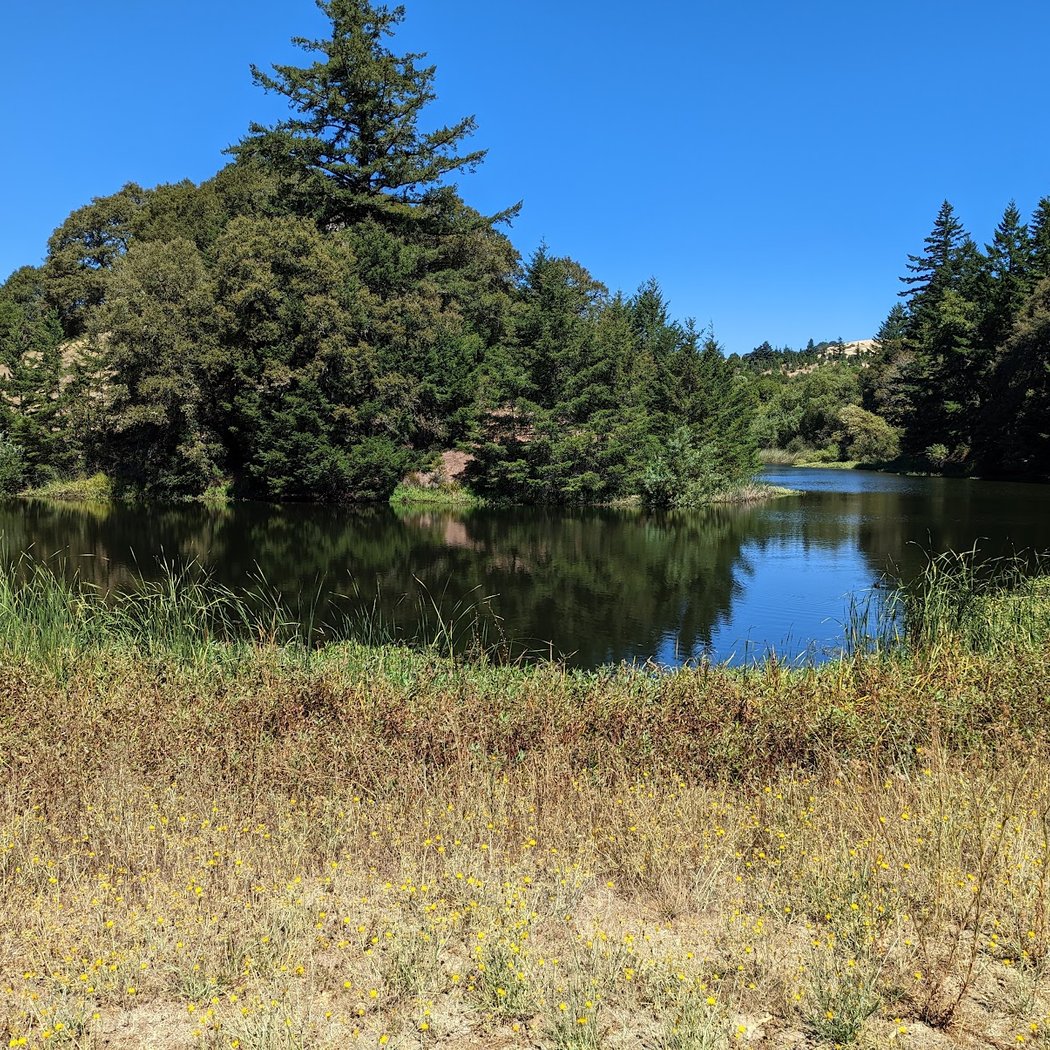 Hike at Russian Ridge Open Space Preserve 3