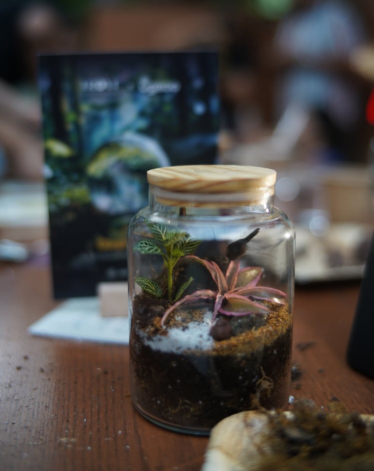 Glass Gardens - A Terrarium Making Experience